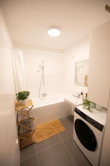 Schoenes Living Am Donauufer 비엔나 외부 사진