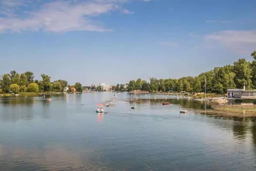 Schoenes Living Am Donauufer 비엔나 외부 사진