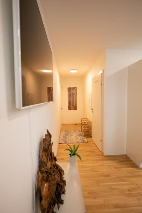 Schoenes Living Am Donauufer 비엔나 외부 사진