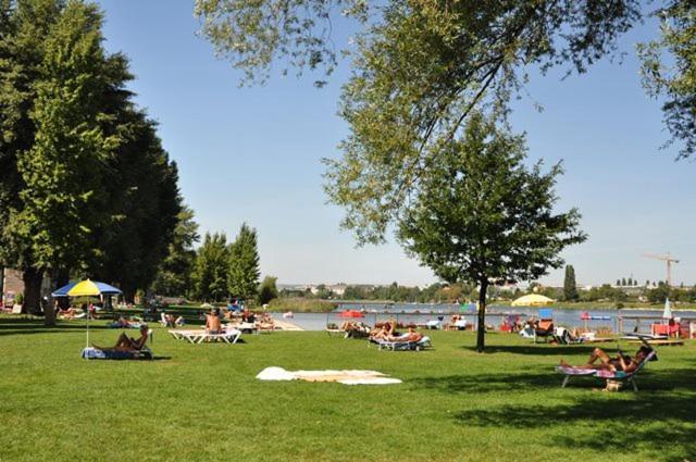 Schoenes Living Am Donauufer 비엔나 외부 사진