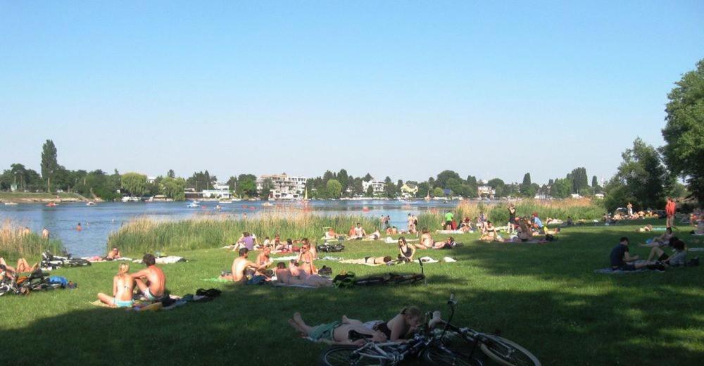 Schoenes Living Am Donauufer 비엔나 외부 사진